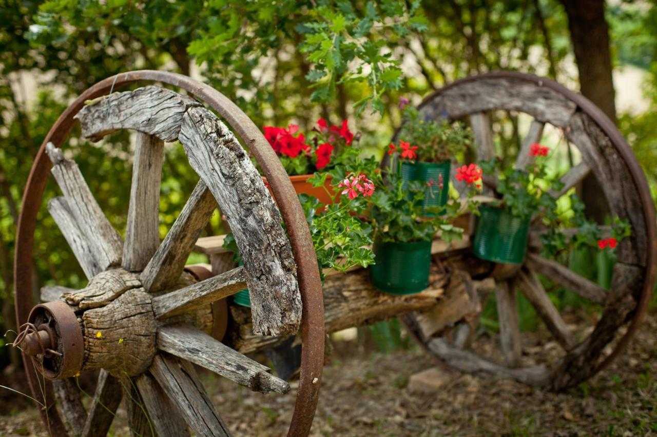 Villa Titti B&B Orciano di Pesaro Buitenkant foto